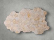 Handcrafted Petrified Wood Coffee Table