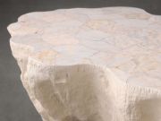 Handcrafted Petrified Wood Coffee Table