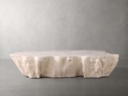 Handcrafted Petrified Wood Coffee Table