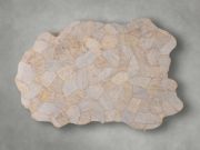 Handcrafted Petrified Wood Coffee Table
