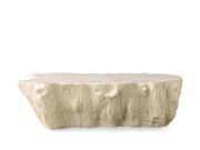 Handcrafted Petrified Wood Coffee Table