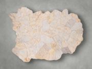 Handcrafted Petrified Wood Coffee Table
