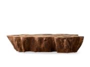 Handcrafted Petrified Wood Coffee Table