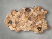 Handcrafted Petrified Wood Coffee Table
