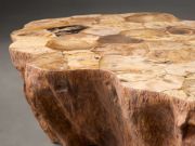 Handcrafted Petrified Wood Coffee Table