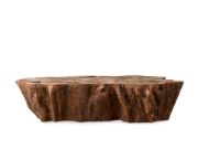 Handcrafted Petrified Wood Coffee Table