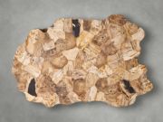 Handcrafted Petrified Wood Coffee Table