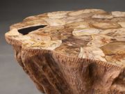 Handcrafted Petrified Wood Coffee Table