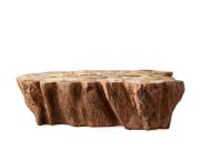 Handcrafted Petrified Wood Coffee Table