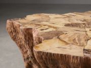 Handcrafted Petrified Wood Coffee Table