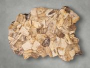 Handcrafted Petrified Wood Coffee Table