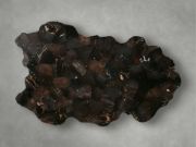 Picture of Handcrafted Petrified Wood Coffee Table