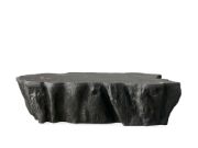 Picture of Handcrafted Petrified Wood Coffee Table