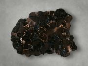Picture of Handcrafted Petrified Wood Coffee Table