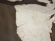 Handcrafted Milpa Burl Wood Coffee Table