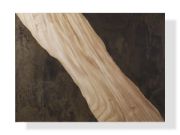 Almeria Wood & Oxidized Steel Coffee Table