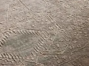 Picture of Luca Hand-Knotted Wool Rug