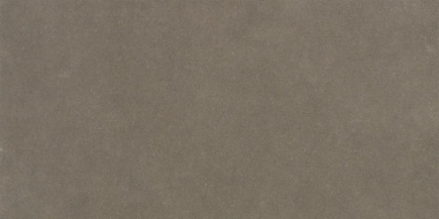 Gray Velvet