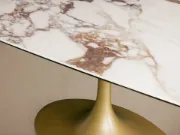 Sculpted Table